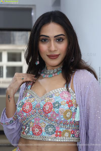 Preethi Singh stills in Lavender Lehenga Choli