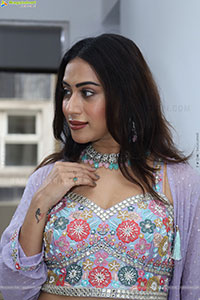 Preethi Singh stills in Lavender Lehenga Choli