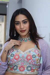 Preethi Singh stills in Lavender Lehenga Choli