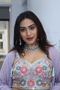 Preethi Singh stills in Lavender Lehenga Choli