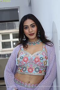 Preethi Singh stills in Lavender Lehenga Choli