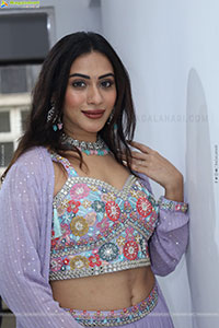 Preethi Singh stills in Lavender Lehenga Choli