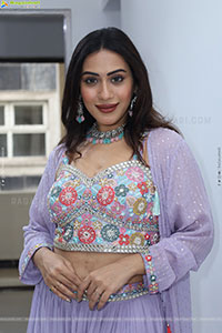 Preethi Singh stills in Lavender Lehenga Choli