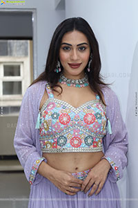 Preethi Singh stills in Lavender Lehenga Choli
