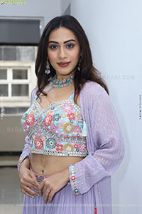 Preethi Singh stills in Lavender Lehenga Choli