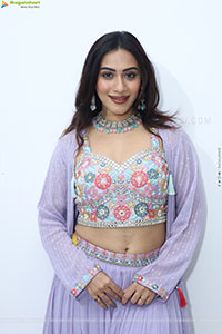 Preethi Singh stills in Lavender Lehenga Choli