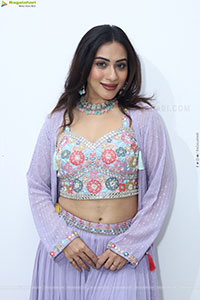 Preethi Singh stills in Lavender Lehenga Choli