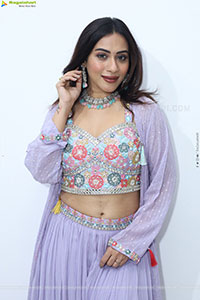 Preethi Singh stills in Lavender Lehenga Choli
