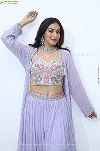 Preethi Singh stills in Lavender Lehenga Choli