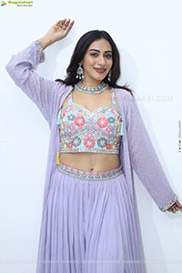 Preethi Singh stills in Lavender Lehenga Choli