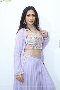 Preethi Singh stills in Lavender Lehenga Choli