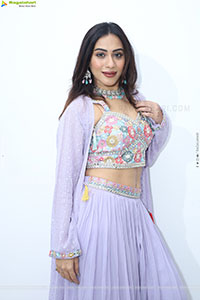 Preethi Singh stills in Lavender Lehenga Choli
