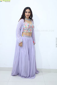 Preethi Singh stills in Lavender Lehenga Choli