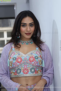 Preethi Singh stills in Lavender Lehenga Choli