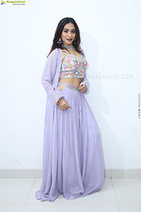 Preethi Singh stills in Lavender Lehenga Choli