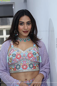 Preethi Singh stills in Lavender Lehenga Choli