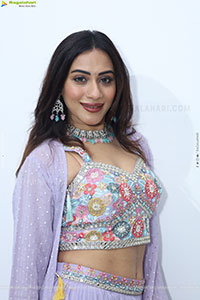 Preethi Singh stills in Lavender Lehenga Choli