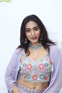 Preethi Singh stills in Lavender Lehenga Choli