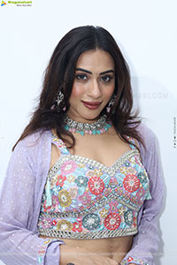 Preethi Singh stills in Lavender Lehenga Choli