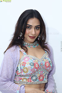 Preethi Singh stills in Lavender Lehenga Choli