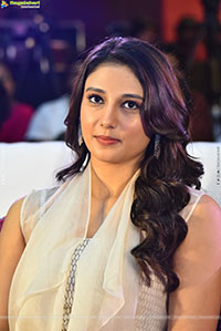 Ritika Nayak at Korean Kanakaraju Blockbuster Celebrations