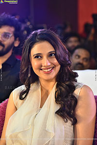 Ritika Nayak at Korean Kanakaraju Blockbuster Celebrations
