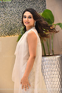 Ritika Nayak at Korean Kanakaraju Blockbuster Celebrations