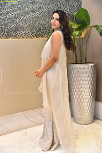 Ritika Nayak at Korean Kanakaraju Blockbuster Celebrations
