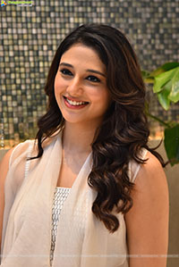 Ritika Nayak at Korean Kanakaraju Blockbuster Celebrations