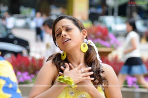 Bhavana Photo Gallery