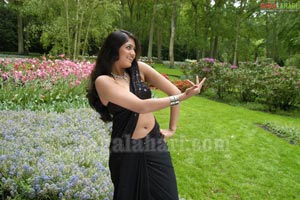 Meghana Photo Gallery