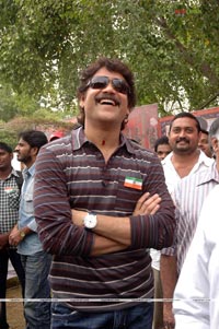 Nagarjuna at Brindaavanam Muhurat