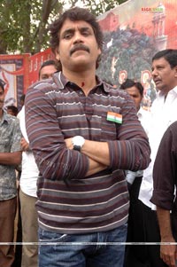 Nagarjuna at Brindaavanam Muhurat