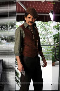  Nagarjuna kedi Stills