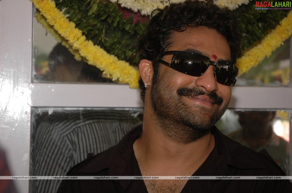 Young Tiger NTR Latest Photo Gallery