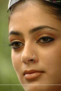 Parvathi Melton Photo Gallery