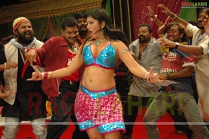 Taslima Sheik Spicy Photo Gallery