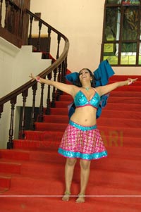 Taslima Sheik Spicy Photo Gallery