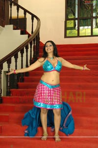 Taslima Sheik Spicy Photo Gallery