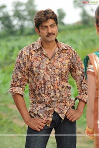 Jagapathi Babu Photo Gallery