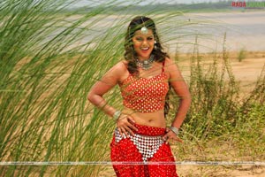 Madhu Sharma Photo Gallery