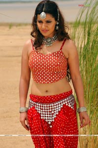 Madhu Sharma Photo Gallery