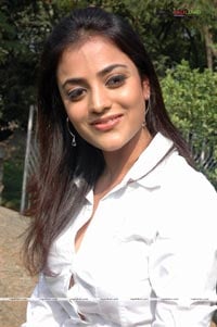 Nisha Agarwal at Veelle Muhurat