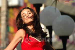 Nisha Kothari Photo Gallery