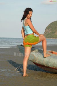 Nisha Kothari Photo Gallery