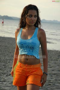 Nisha Kothari Photo Gallery