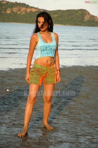 Nisha Kothari Photo Gallery