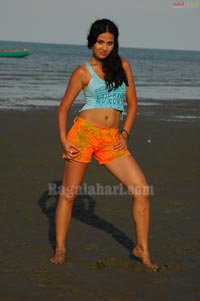 Nisha Kothari Photo Gallery