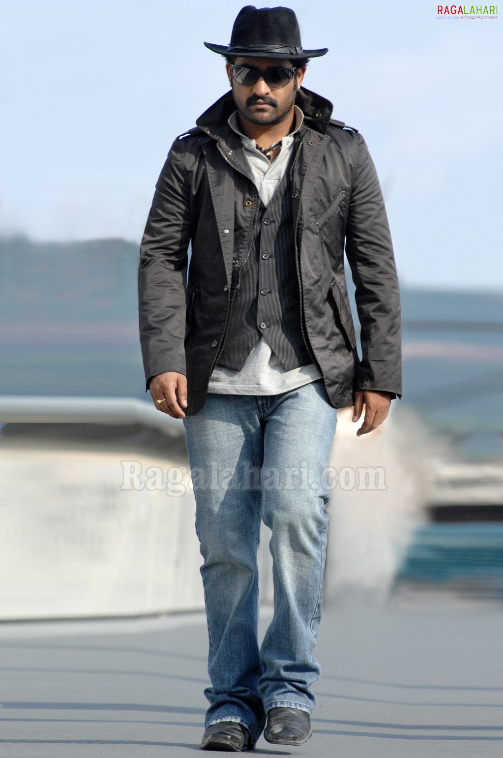 NTR Latest Photo Gallery