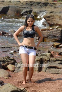 Sheena Photo Gallery